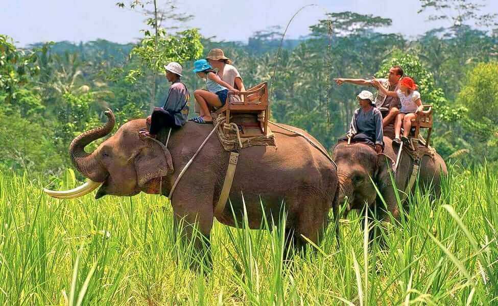 Jim Corbett National park Trip 